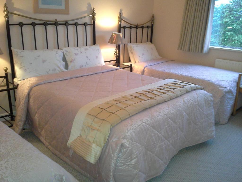 Fern Rock Bed And Breakfast Dromin Ruang foto