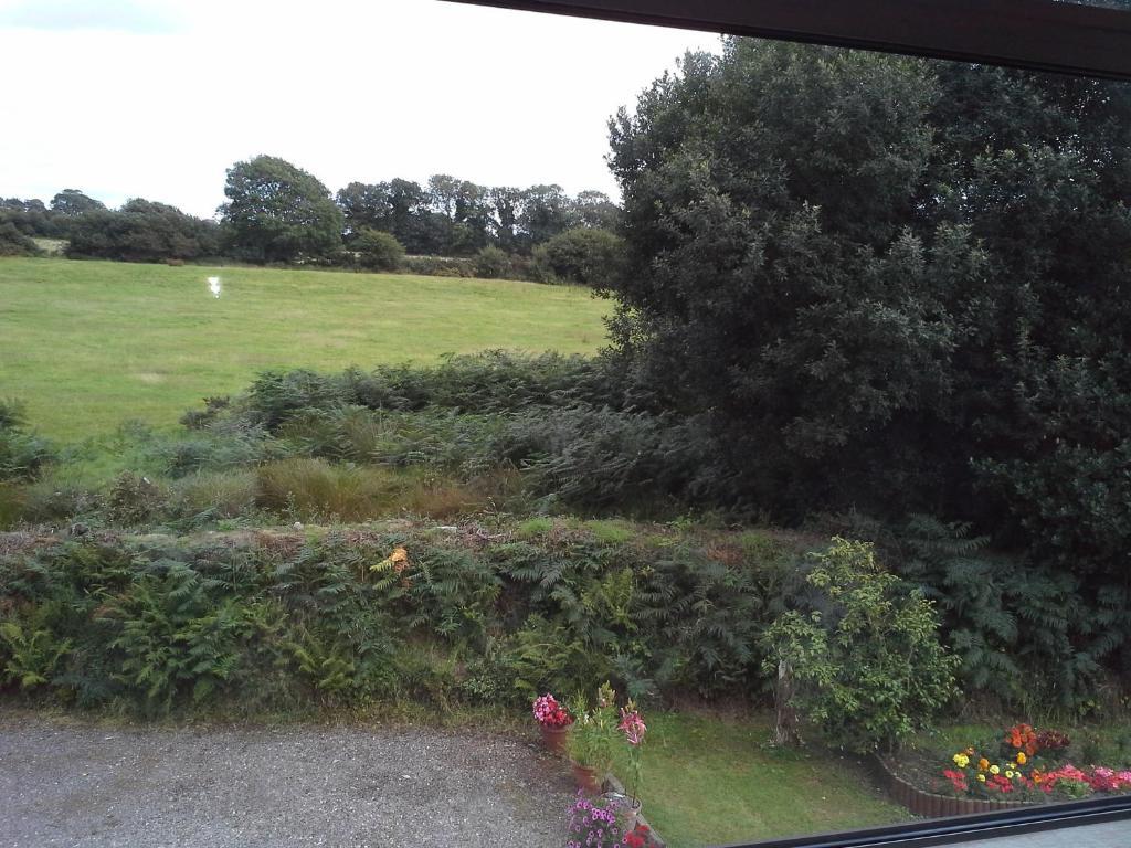 Fern Rock Bed And Breakfast Dromin Ruang foto