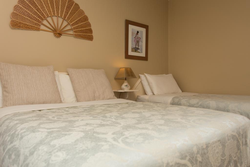 Fern Rock Bed And Breakfast Dromin Bagian luar foto